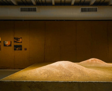 O Museu Oscar Niemeyer (MON) reabriu ao público com uma nova exposição: "Radical", primeira individual da artista Sonia Dias Souza, na Sala 1 do Museu. Com curadoria de Agnaldo Farias, a mostra tem caráter imersivo e reúne fotografias e instalações inéditas.  -  Curitiba, 10/06/2021  -  Foto: André Nacli