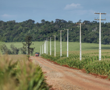 Paraná trifásico  - Foto: José Fernando Ogura