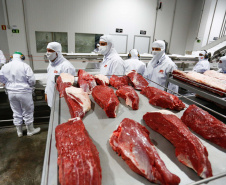 O governador Carlos Massa Ratinho Junior participou nesta sexta-feira (11), em Cambé, no Norte do Estado, da inauguração do Muffato Foods, um dos mais modernos centros de processamento de alimentos do Paraná, que recebeu investimento de R$ 170 milhões.Foto: Jonathan Campos/AEN