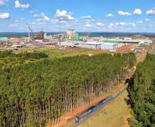 A primeira fase da ampliação das atividades da Klabin. no município de Ortigueira - Projeto Puma II, nos Campos Gerais, recebeu a Licença de Operação (LO) nesta quinta-feira (10). O documento foi entregue pelo Instituto Água e Terra (IAT), órgão vinculado à Secretaria do Desenvolvimento Sustentável e do Turismo (Sedest).  -  Curitiba, 11/06/2021  -  Foto: Rafael Chuí - Klabin