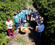 Projeto Mulheres do Café valoriza produtoras e garante fama internacional ao Norte Pioneiro. Foto: Ari Dias/AEN