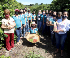 Projeto Mulheres do Café valoriza produtoras e garante fama internacional ao Norte Pioneiro. Foto: Ari Dias/AEN