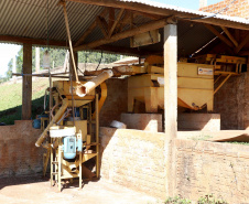 Projeto Mulheres do Café valoriza produtoras e garante fama internacional ao Norte Pioneiro. Foto: Ari Dias/AEN