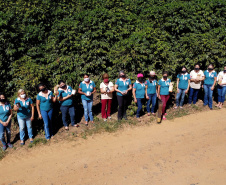 Projeto Mulheres do Café valoriza produtoras e garante fama internacional ao Norte Pioneiro. Foto: Ari Dias/AEN