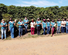 Projeto Mulheres do Café valoriza produtoras e garante fama internacional ao Norte Pioneiro. Foto: Ari Dias/AEN