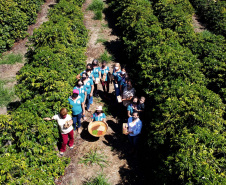 Projeto Mulheres do Café valoriza produtoras e garante fama internacional ao Norte Pioneiro. Foto: Ari Dias/AEN