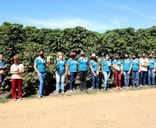 Projeto Mulheres do Café valoriza produtoras e garante fama internacional ao Norte Pioneiro. Foto: Ari Dias/AEN