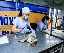 O Programa Permanente de Esterilização de Cães e Gatos (CastraPet), iniciativa da Secretaria de Estado do Desenvolvimento Sustentável e do Turismo (Sedest), estará em São José dos Pinhais (Região Metropolitana de Curitiba), entre 15 e 26 deste mês.  -  Curitiba, 14/06/2021  -  Foto: SEDEST