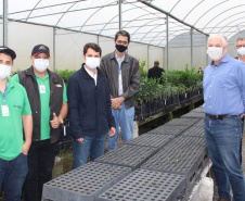 Na cidade de Cerro Azul, capital nacional da ponkan, o IDR-Paraná (Instituto de Desenvolvimento Rural do Paraná ? Iapar-Emater) em parceria com a Secretaria Estadual de Agricultura e Abastecimento, Prefeitura de Cerro Azul e Sebrae, realizou a entrega de mudas de ponkan para 20 agricultores da região. -  Foto: IDR-PARANÁ