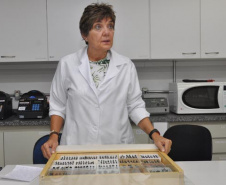 Professora Silvia Helena Sofia, que atua no LAGEA, Laboratório de Genética e Biologia Animal da UEL. Foto: Arquivo/COMUEL