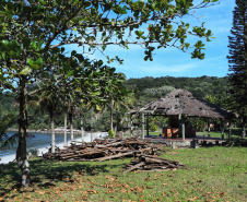 Ilha das Cobras começa a mudar de cara para receber a Escola do Mar
. Foto: José Fernando Ogura/AEN