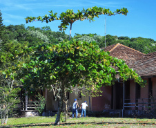 Ilha das Cobras começa a mudar de cara para receber a Escola do Mar
. Foto: José Fernando Ogura/AEN