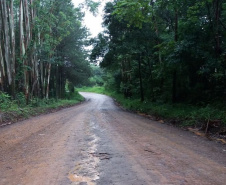 O Departamento de Estradas de Rodagem do Paraná (DER/PR) homologou o resultado da licitação para pavimentar a PR-160, entre Imbaú e Reserva, na região dos Campos Gerais  -  Curitiba, 16/06/2021  -  Foto: DER/PR