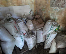 Forças de Segurança retomam ações conjuntas nos portos do Paraná - APREENSÕES - Foram fiscalizados cinco endereços no Bairro Guadalupe e, em um só local, encontradas cerca de 15 toneladas de produtos oriundos da vazada, acondicionados em um galpão. Os envolvidos foram encaminhados para a Delegacia.  -  Foto: Divulgação Portos do Paraná