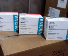 Com mais 450 mil doses, Cemepar começa a dividir novo lote de vacinas contra a Covid-19. Foto: Américo Antonio/SESA