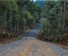 Governo autoriza aplicação de R$ 11,1 milhões em estradas rurais. Foto: Geraldo Bubniak/AEN