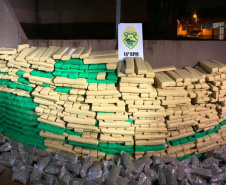 PM apreende 1,5 tonelada de maconha dentro de apartamento em Foz do Iguaçu, no Oeste do PR. Foto:PMPR