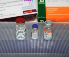 Até o momento, as vacinas distribuídas ao Paraná, que segue o PNI, foram CoronaVac, AstraZeneca e Pfizer. Foto:Américo Antonio/SESA