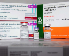 Até o momento, as vacinas distribuídas ao Paraná, que segue o PNI, foram CoronaVac, AstraZeneca e Pfizer. Foto:Américo Antonio/SESA