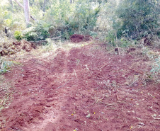 O Batalhão de Polícia Ambiental-Força Verde (BPAmb-FV) e o Instituto Água e Terra (IAT) divulgaram, nesta quarta-feira (22) o balanço final da Operação Esperança, planejada para flagrar crimes ambientais contra a flora