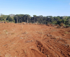 O Batalhão de Polícia Ambiental-Força Verde (BPAmb-FV) e o Instituto Água e Terra (IAT) divulgaram, nesta quarta-feira (22) o balanço final da Operação Esperança, planejada para flagrar crimes ambientais contra a flora