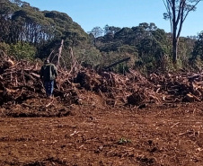 O Batalhão de Polícia Ambiental-Força Verde (BPAmb-FV) e o Instituto Água e Terra (IAT) divulgaram, nesta quarta-feira (22) o balanço final da Operação Esperança, planejada para flagrar crimes ambientais contra a flora