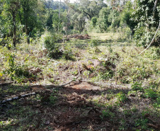 O Batalhão de Polícia Ambiental-Força Verde (BPAmb-FV) e o Instituto Água e Terra (IAT) divulgaram, nesta quarta-feira (22) o balanço final da Operação Esperança, planejada para flagrar crimes ambientais contra a flora