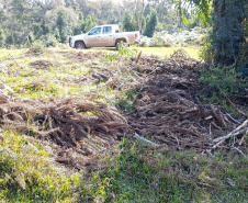 O Batalhão de Polícia Ambiental-Força Verde (BPAmb-FV) e o Instituto Água e Terra (IAT) divulgaram, nesta quarta-feira (22) o balanço final da Operação Esperança, planejada para flagrar crimes ambientais contra a flora