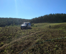 O Batalhão de Polícia Ambiental-Força Verde (BPAmb-FV) e o Instituto Água e Terra (IAT) divulgaram, nesta quarta-feira (22) o balanço final da Operação Esperança, planejada para flagrar crimes ambientais contra a flora