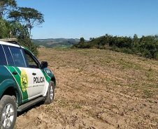 O Batalhão de Polícia Ambiental-Força Verde (BPAmb-FV) e o Instituto Água e Terra (IAT) divulgaram, nesta quarta-feira (22) o balanço final da Operação Esperança, planejada para flagrar crimes ambientais contra a flora