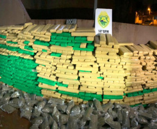 Na Semana Nacional Antidrogas, PM apreende mais de 2 toneladas de maconha no oeste do estado em apenas dois dias. Na fronteira com Paraguai, o 14º Batalhão da PM reforçou as operações e, em apenas dois dias, apreendeu mais de 2 toneladas de maconha. A mais recente apreensão aconteceu nesta madrugada (23/06). -  Curitiba, 23/06/2021  -  Foto: PMPR