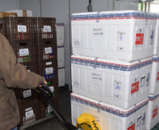 O Governo do Estado recebeu 439.340 vacinas contra a Covid-19 na tarde desta quinta-feira. Este é o primeiro lote com vacinas do braço farmacêutico da Johnson & Johnson. Foto: Américo Antonio/Sesa