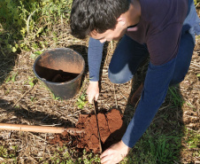 Pesquisa ajuda o Paraná a ser referência nacional no agronegócio
Foto: Professora Lutécia Beatriz dos Santos Canalli