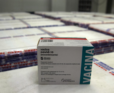São 277.250 do imunizante Covishield, da parceria Fiocruz/AstraZeneca, e 84.240 da Comirnaty, da Pfizer/BioNtech. As novas vacinas darão continuidade à vacinação do público em geral e dos grupos prioritários no Paraná.

Foto: Américo Antonio/Sesa