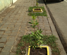 Junho foi marcado com ações em prol do meio ambiente. A Sedest e o IAT promoveram lives, distribuição de mudas em troca de alimentos, produção de vídeos institucionais e campanha nas redes sociais. O objetivo foi despertar a educação ambiental em toda a sociedade  - Curitiba, 30/06/2021  -  Foto: Denis Eduardo Bednarchuk