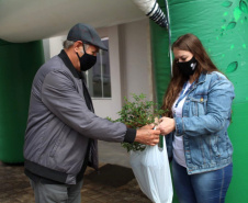 Mais de 800 kg de arroz e feijão foram arrecadados nesta quinta-feira (24), em troca de mudas de jabuticaba no sistema drive-thru no município de Pitanga, na região Central do Estado. A ação foi planejada pelo Escritório Regional do Instituto Água e Terra (IAT) e contou com apoio da prefeitura municipal.  -  Foto: IAT