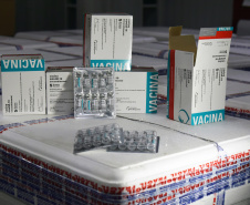 Chegada vacinas doses da AstraZeneca  Foto: Americo Antonio/SESA
