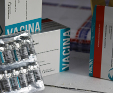 Chegada vacinas doses da AstraZeneca  Foto: Americo Antonio/SESA