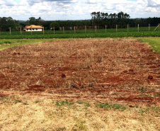 Unioeste incentiva produção de leite orgânico em propriedades da agricultura familiar.   -  Foto: Divulgação Unioeste