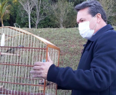 O Escritório Regional do Instituto Água e Terra (IAT) de Umuarama, no Noroeste do Estado, realizou a apreensão e a soltura de mais de 250 aves. O o secretário da pasta, Márcio Nunes, participou da soltura de 17 aves, entre Trinca Ferro, Coleirinha, Patativa, Canário Terra, Melrol, Sabiá, Irauna Grande, e Curió.  -  Umuarama, 29/06/2021  -  Foto: SEDEST/IAT