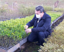 O Escritório Regional do Instituto Água e Terra (IAT) de Umuarama, no Noroeste do Estado, realizou a apreensão e a soltura de mais de 250 aves. O o secretário da pasta, Márcio Nunes, participou da soltura de 17 aves, entre Trinca Ferro, Coleirinha, Patativa, Canário Terra, Melrol, Sabiá, Irauna Grande, e Curió.  -  Umuarama, 29/06/2021  -  Foto: SEDEST/IAT