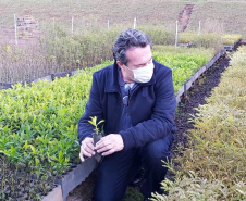 O Escritório Regional do Instituto Água e Terra (IAT) de Umuarama, no Noroeste do Estado, realizou a apreensão e a soltura de mais de 250 aves. O o secretário da pasta, Márcio Nunes, participou da soltura de 17 aves, entre Trinca Ferro, Coleirinha, Patativa, Canário Terra, Melrol, Sabiá, Irauna Grande, e Curió.  -  Umuarama, 29/06/2021  -  Foto: SEDEST/IAT