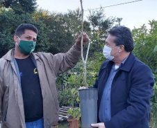 O Escritório Regional do Instituto Água e Terra (IAT) de Umuarama, no Noroeste do Estado, realizou a apreensão e a soltura de mais de 250 aves. O o secretário da pasta, Márcio Nunes, participou da soltura de 17 aves, entre Trinca Ferro, Coleirinha, Patativa, Canário Terra, Melrol, Sabiá, Irauna Grande, e Curió.  -  Umuarama, 29/06/2021  -  Foto: SEDEST/IAT