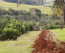 Produtores de limão em Altônia  -  Foto: Gilson Abreu/AEN