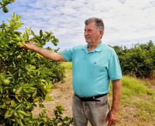 Produtores de limão em Altônia - Devaldir Antonio Vendramini, 47 anos de Altônia e 25 dedicados à fruticultura   -  Foto: Gilson Abreu/AEN