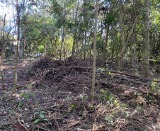 CIANORTE -  O projeto Parques Urbanos do Paraná é o maior do Brasil, afirmou o secretário estadual do Desenvolvimento Sustentável e do Turismo, Márcio Nunes. Ele esteve nesta semana na região Noroeste para acompanhar as obras de quatro Parques Urbanos. São áreas de fundo de vale que serão recuperadas e reaproveitadas como espaços de lazer e turismo aos moradores, aliado à preservação ambiental.   -  02/07/2021  -  Foto: Divulgação SEDEST