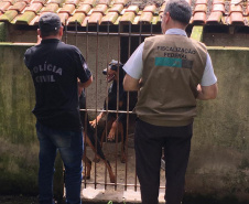 Dados do Disque Denúncia 181, ferramenta da Secretaria de Segurança Pública do Paraná, apontam aumento de 111,6% nas denúncias de maus-tratos a animais domésticos no Estado nos primeiros cinco meses de 2021, se comparado ao mesmo período de 2020.  -  Curitiba, 05/07/2021  -  Foto: Polícia Civil do Paraná