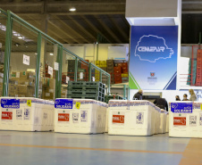 Ministério confirma nova remessa com 220,9 mil vacinas contra Covid-19; parte chega nesta quinta
Foto: Gilson Abreu/AEN