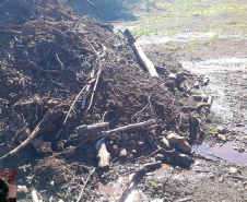 Fiscais do Instituto Água e Terra (IAT) identificaram mais de 100 hectares (ha) de desmatamento na região Centro-Sul do Estado, na última semana. O IAT é um órgão vinculado à Secretaria do Desenvolvimento Sustentável e do Turismo (Sedest). -  Curitiba, 05/07/2021  -  Foto: SEDEST/IAT
