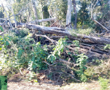 Fiscais do Instituto Água e Terra (IAT) identificaram mais de 100 hectares (ha) de desmatamento na região Centro-Sul do Estado, na última semana. O IAT é um órgão vinculado à Secretaria do Desenvolvimento Sustentável e do Turismo (Sedest). -  Curitiba, 05/07/2021  -  Foto: SEDEST/IAT